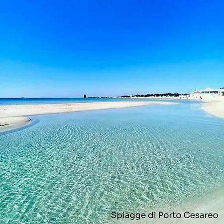 La Nuova Dimora Del Corso Tatil Evi Campi Salentina